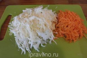 Salada com repolho, cenoura e romã: receita com fotos passo a passo Salada de 2 tipos de repolho com romã